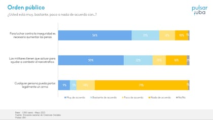 Estudio sobre el orden público del Instituto Pulsar de la Universidad de Buenos Aires