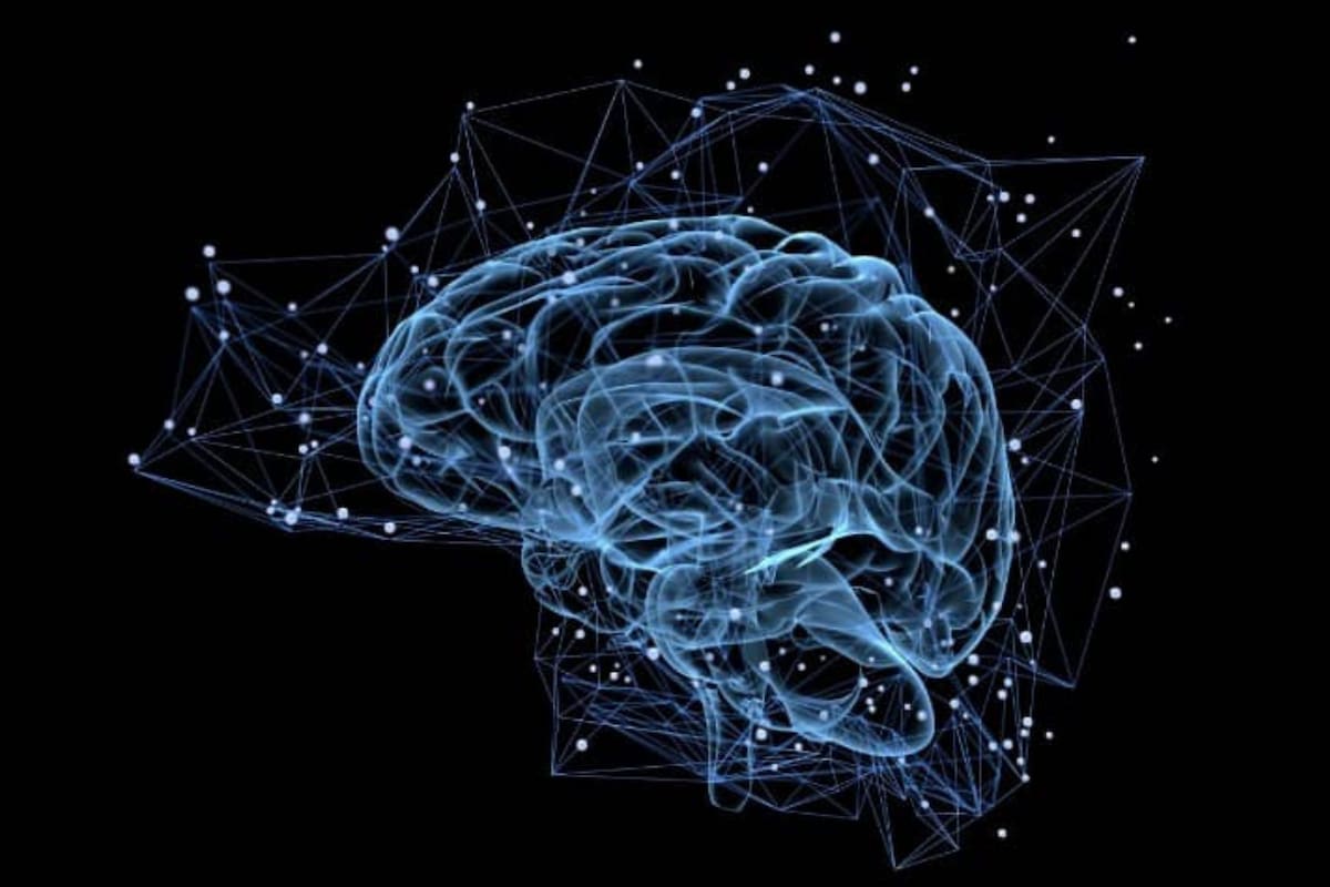 “Estudios de resonancia magnética nuclear funcional y otros estudios de neuroimagen han demostrado que al sentir gratitud se activan áreas cerebrales como la corteza prefrontal y el núcleo accumbens", dice Daniel López Rosetti