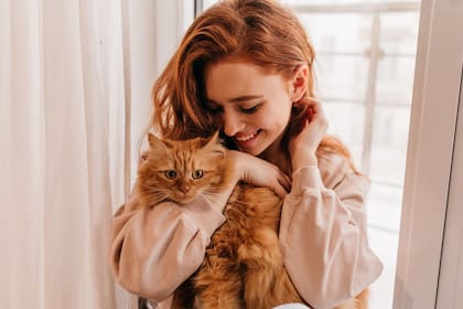 Estudios en conducta animal analizan el vínculo entre personalidad humana y felina