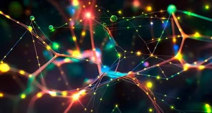 Estudios en ratas, conducidos por el equipo que lidera Borjigin, registraron una intensa actividad cerebral durante sus muertes