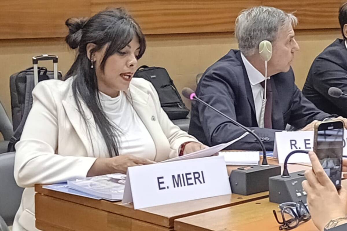 Eva Mieri, procesada por el ataque a la casa de Espert, participó de un congreso de la ONU en Ginebra, Suiza