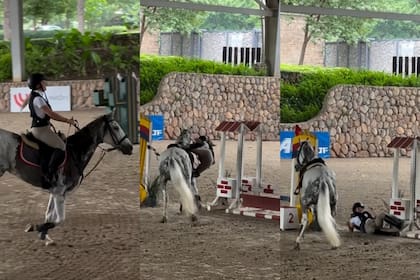 Evangelina Anderson sufrió una fuerte caída durante una competencia de equitación (Foto: Captura de video / Instagram @evangelinaanderson)