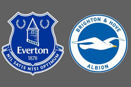 Everton-Brighton and Hove Albion