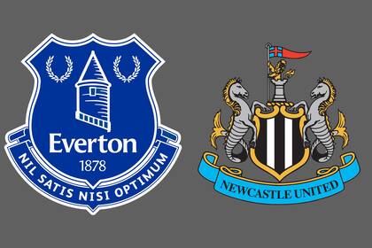 Everton-Newcastle United