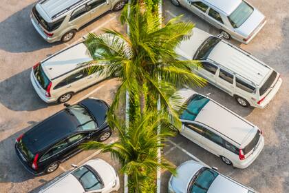 Evita romper las leyes de tránsito y obtén la licencia correcta