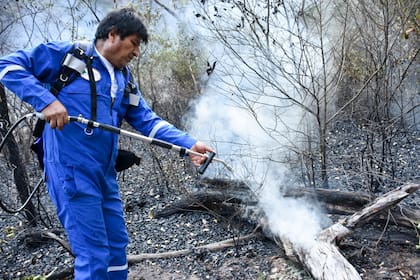 Evo Morales apagando los incendios en el Amazonas