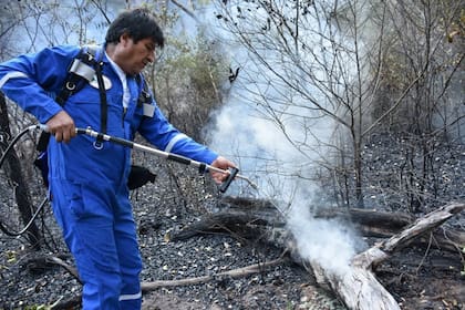 Evo se mostró apagando el fuego en la selva de Santa Rosa