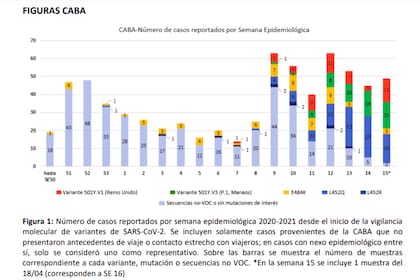 Evolución de las distintas cepas en la ciudad de Buenos Aires desde las últimas semanas de 2020 y lo que va de 2021