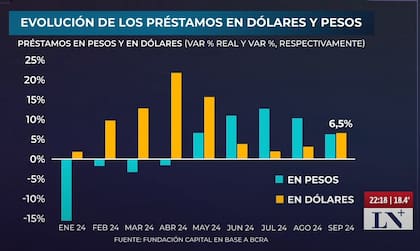 Evolución de los préstamos en dólares y pesos
