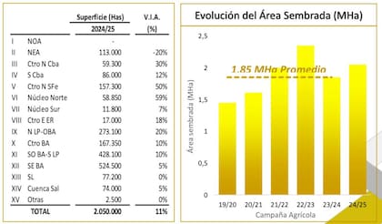Evolución del área sembrada en millones de hectáreas