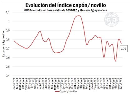 Evolución del índice capón/novillo