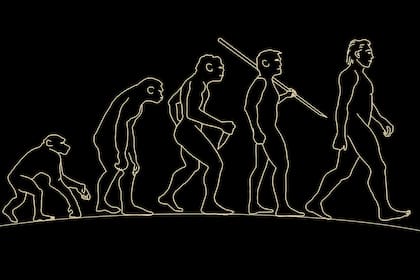 Evolución humana (Foto: Pixabay)