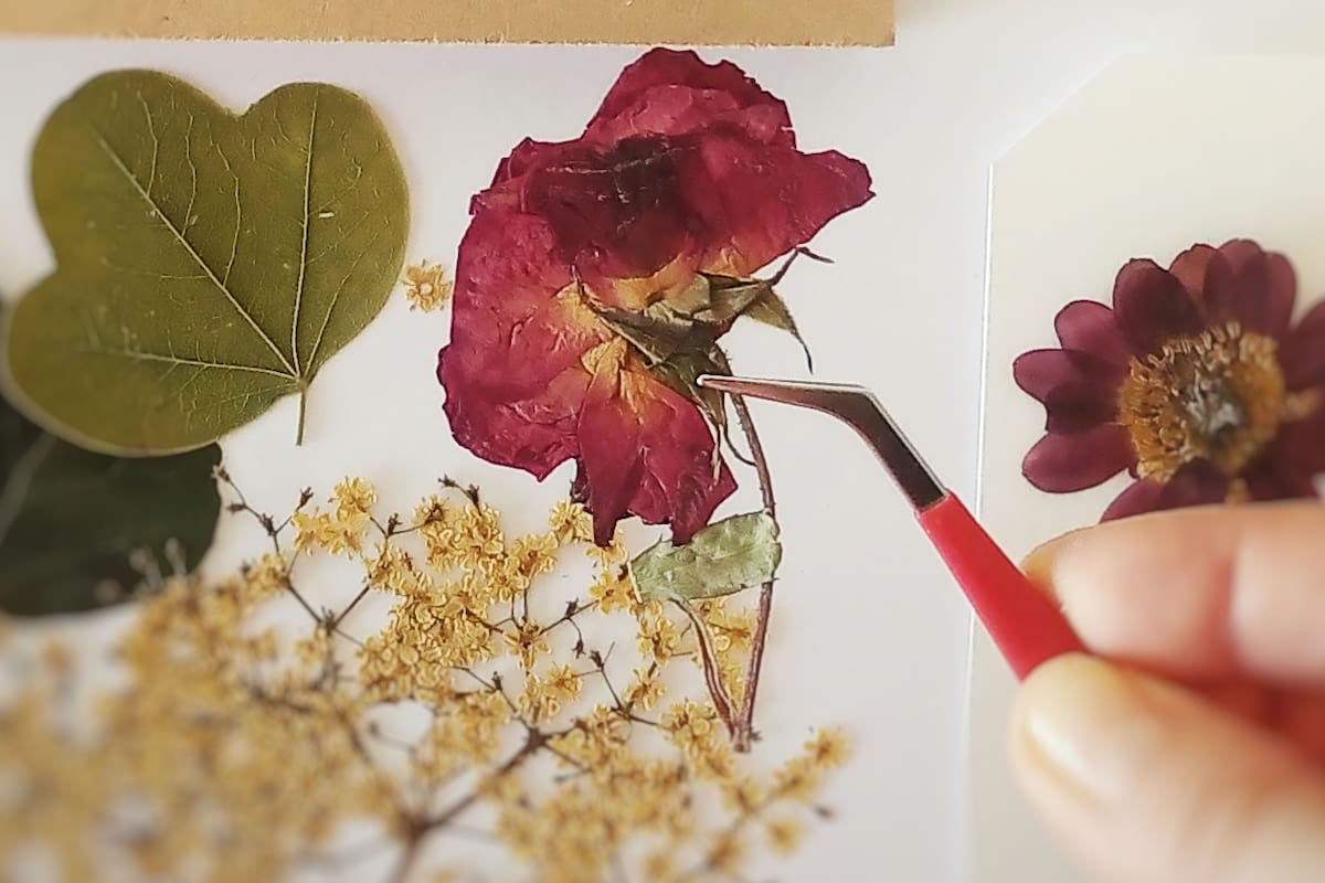 Distintas prensas de flores con distintos diseños.