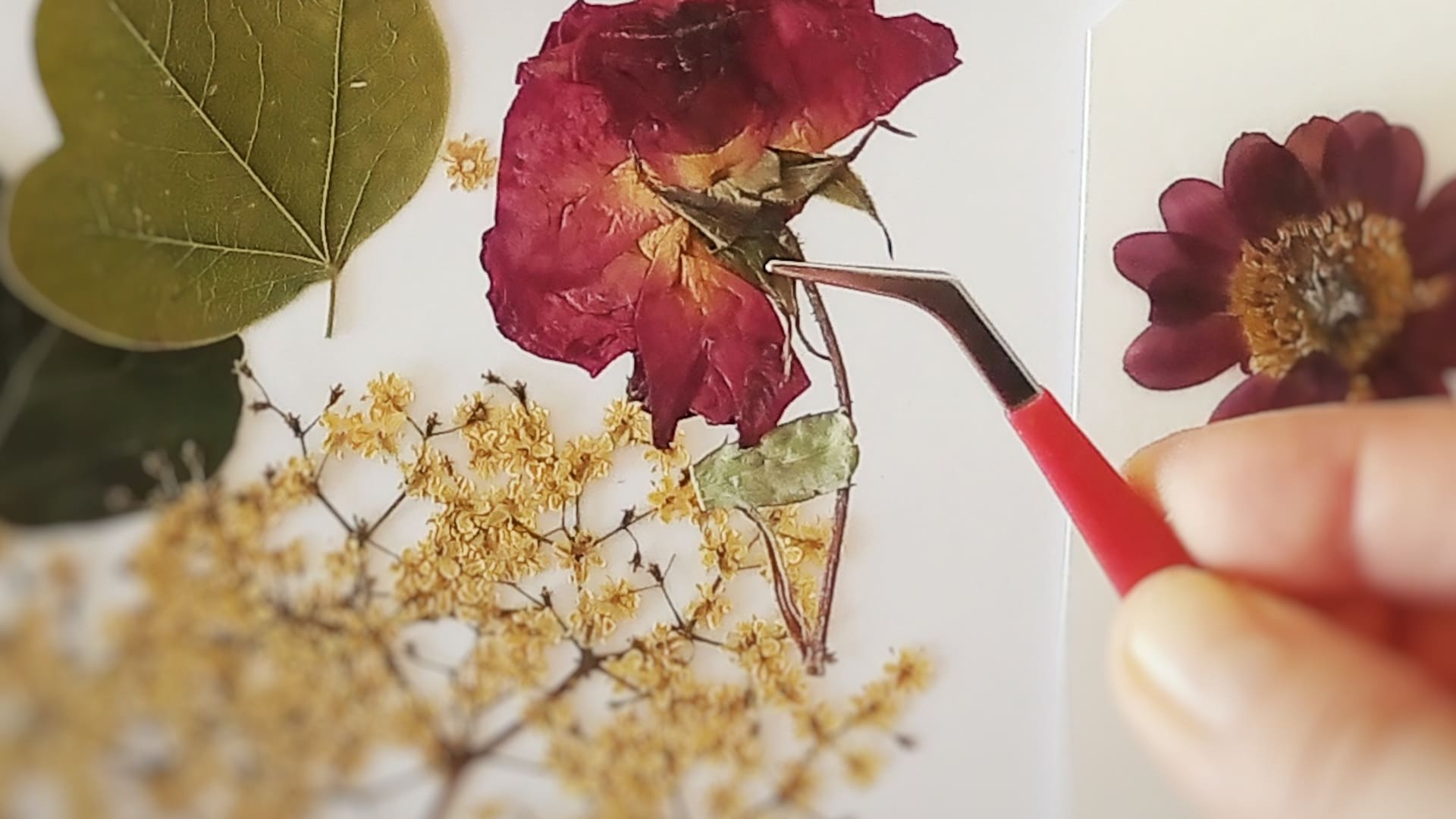 Distintas prensas de flores con distintos diseños.