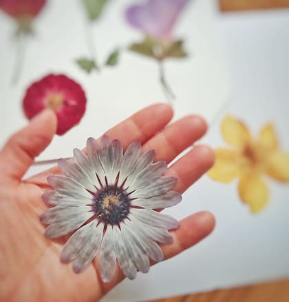 Seguir el paso a paso rigurosamente tiene un resultado asombroso: los colores de las flores se preservan más.