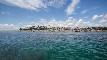 Excursión a las piscinas naturales de Porto de Galinhas