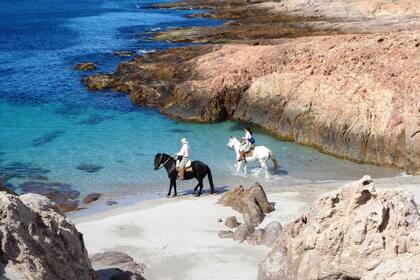 Excursiones en Bahía Bustamante, Chubut