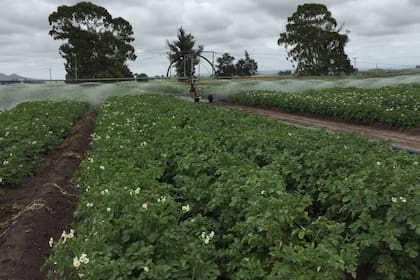 Exdirectores a lo largo y ancho del país manifestaron su rechazo a la propuesta del Gobierno