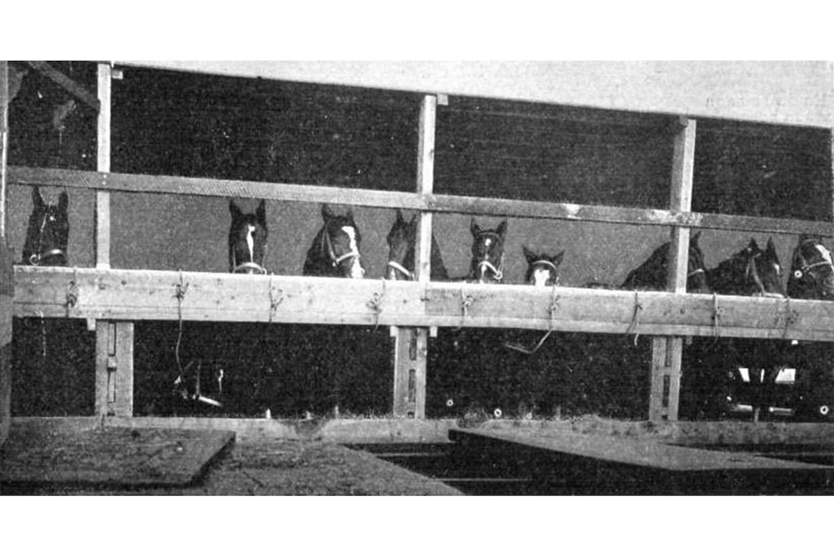 Exequiel Albarenque DIRECTOR GANADERÍA ENTRE RÍOS