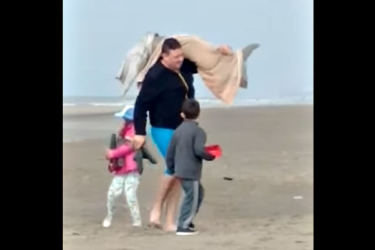 "Exigimos la máxima pena legal para estas personas”, piden desde la asociaciones proteccionistas