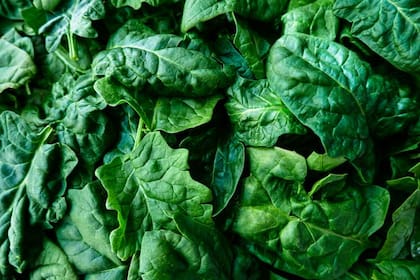 Existe evidencia científica reciente que impulsa a la alimentación rica en vegetales como la mejor para la salud renal