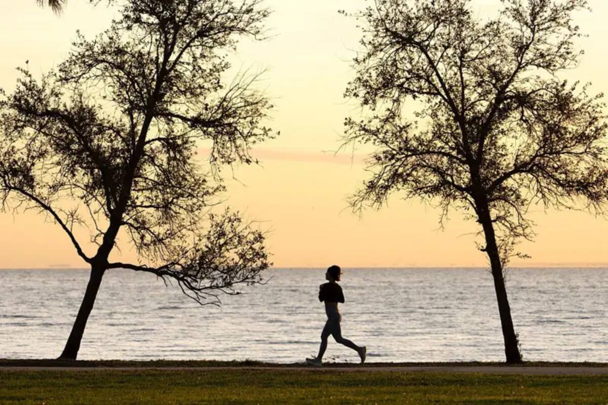 Existe evidencia de que el ejercicio regular puede reducir nuestros niveles basales de cortisol, lo que ayuda a combatir el estrés
