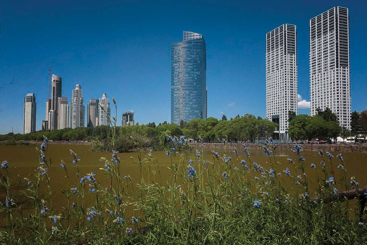 Existe una desigualdad muy marcada en el acceso a espacios verdes según los ingresos económicos.