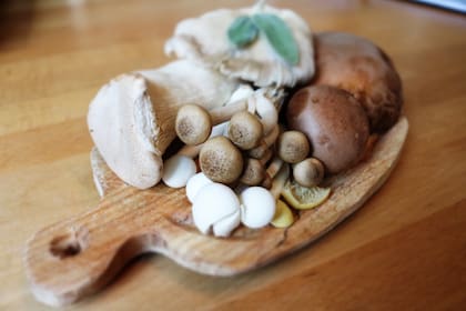 Existen 1000 variedades de hongos comestibles y cada una tiene su sabor y forma singular.