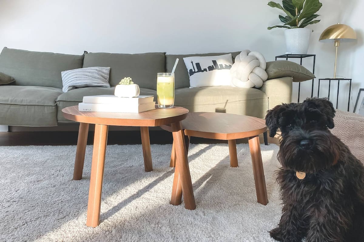 Existen algunos consejos prácticos para eliminar manchas de las alfombras