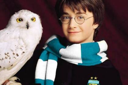 Existen cinco empresas locales que exportan insumos de magia al mundo