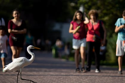 Existen diferentes paseos para aprovechar en estas vacaciones de invierno 2025
