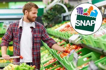 Existen diferentes razones por las que puede retrasarse el pago de los cupones SNAP, pero la mayoría tienen solución (Archivo/Canva)