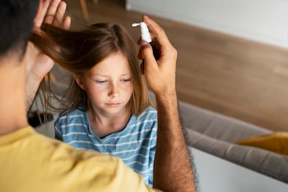 Existen diferentes remedios caseros recomendados por pediatras para combatir los piojos y las liendres en niños