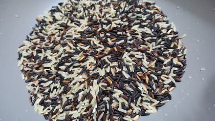 Existen diferentes tipos de arroz (Foto ilustrativa: PIXABAY)