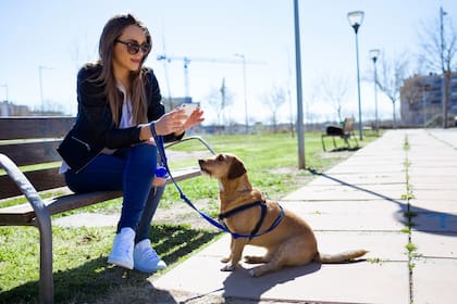 Existen diversas aplicaciones y servicios que permiten entrenar a tu mascota o encontrar una persona que cuide y pasee tu perro