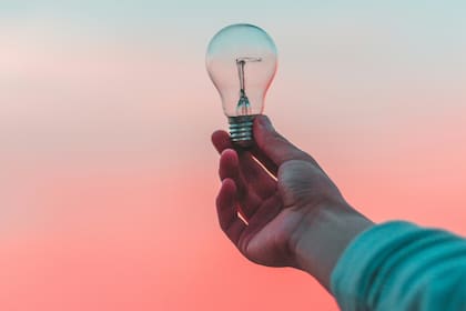 Existen diversos tipos de inteligencia, algunos tienen más que ver con la capacidad de la mente y otros con la destreza física de las personas
