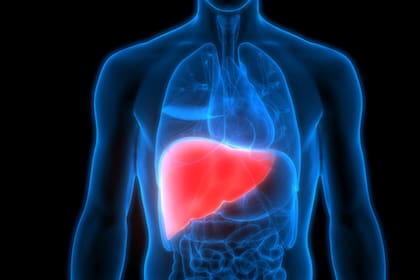 Existen dos formas principales: una variante leve sin inflamación significativa y otra más grave con daño del tejido hepático