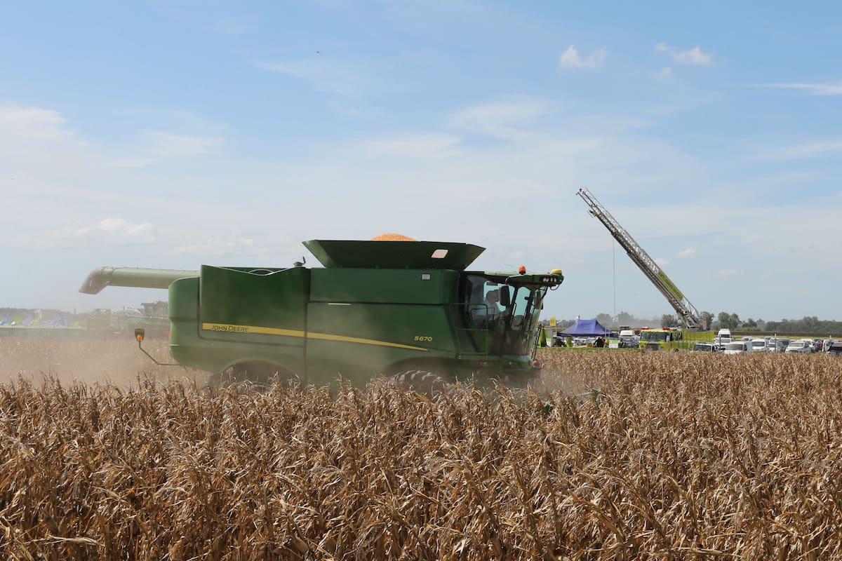 Existen herramientas del mercado de capital que pueden ayudar al financiamiento