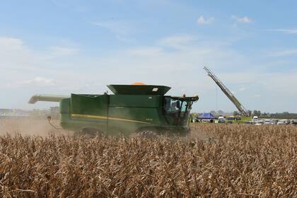 Existen herramientas del mercado de capital que pueden ayudar al financiamiento