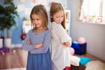 Existen infinidad de motivos por los que dos hermanos pueden discutir o pelear
