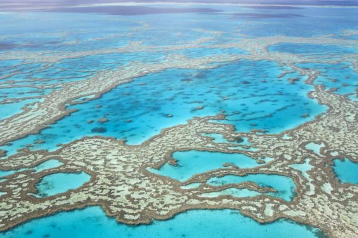 Existen lugares que fueron declarados como maravillosos debido al significativo aporte que brindan al planeta