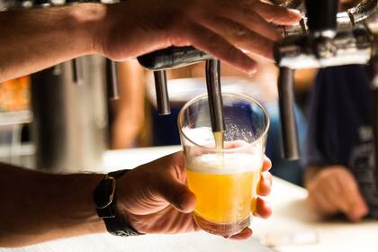 “Existen más de 100 estilos de cerveza", dice Zanetti (Foto: Pixabay)