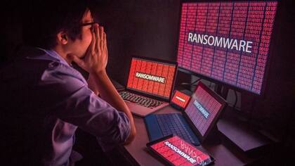 Existen sistemas diseñados para detectar comportamientos inusuales o softwares maliciosos en redes conectadas a Internet