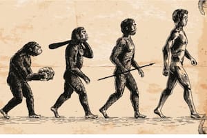 Existen tipos de IA que son capaces de ilustrar imágenes y videos requeridos por el usuario (Foto:Istock)