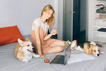 Existen varios casos en los que los dueños de las mascotas se enteraron que tenían un problema de salud gracias a su animal de compañía