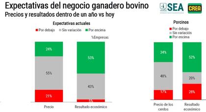 Expectativas del negocio ganadero bovino