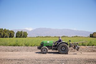 Experiencia Mendoza: qué es la agricultura regenerativa y cómo se implementa.