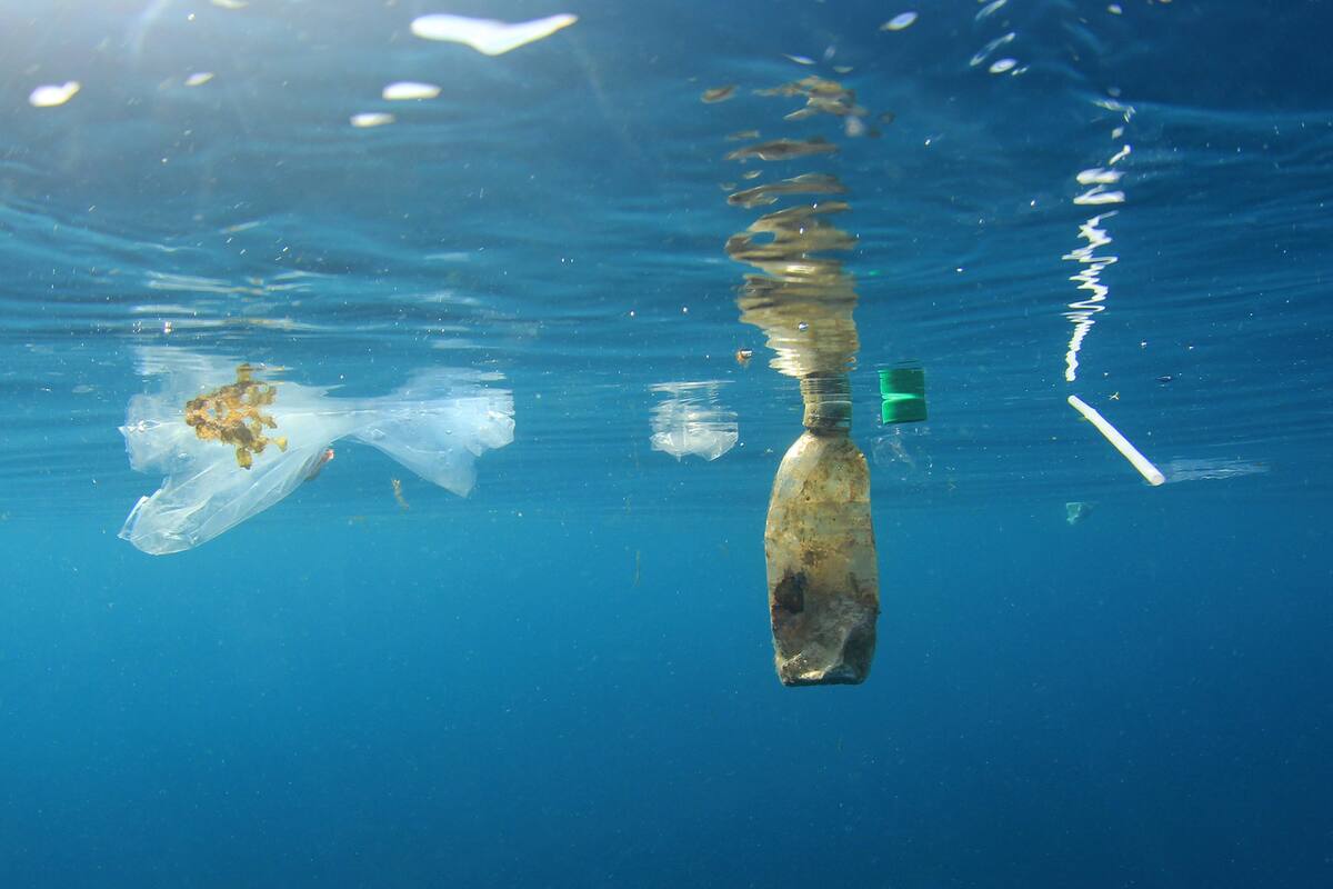 Expertos advierten que en 2050 habrá más plástico que peces en los océanos