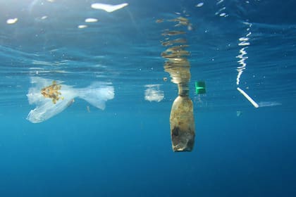 Los expertos advierten que en 2050 habrá más plástico que peces en los océanos