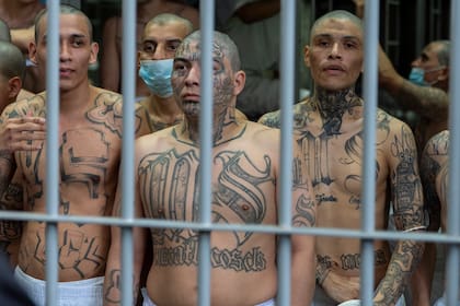Expertos cuestionan el uso de tatuajes como prueba única de pandillaje